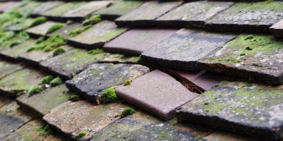 Banc Y Mor roof repair costs